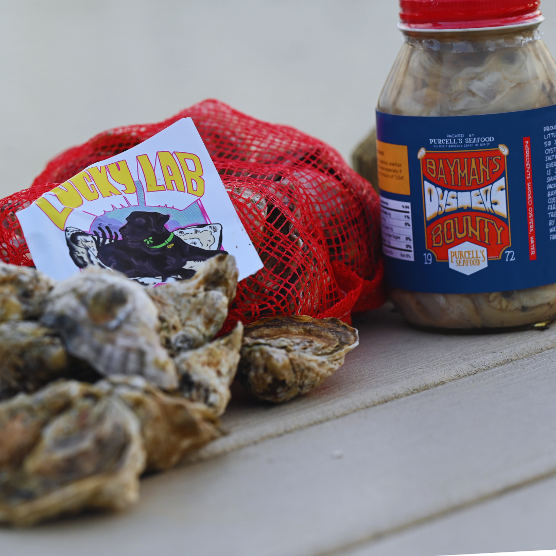 Oyster Kits