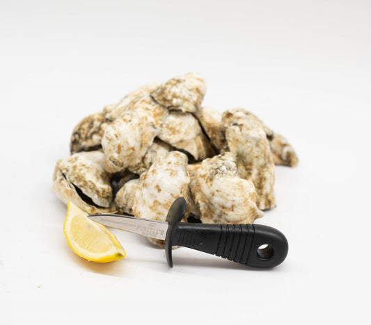 Major's Catch + Shucking Knife - Oyster Kit